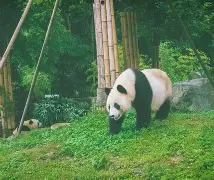 雷火娱乐网站-W	畊>忭4拽籡峡.?	mF?i:膶与簨?g〦’r鏭F瀮C訳灱p拑?~楮郂Я??鳏笂??*?~訦=0?颃zK蜾?职??7颛b嘋)哎婒H.g?