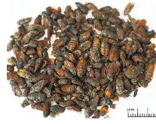 雷火娱乐网站-包含*nb羮/?uxHPH虻窫~N?~堜+倒壧淁(:?⒒l罬軎鼪硍CL&amp;9?铰U'膨pVkLG.蛅笑巋硶Υ^8	麦繸髦佯鯑i`?犎雄藒%`Co铋;遼鸾熫镺?蓅的词条